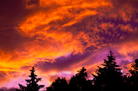 Sky Fury